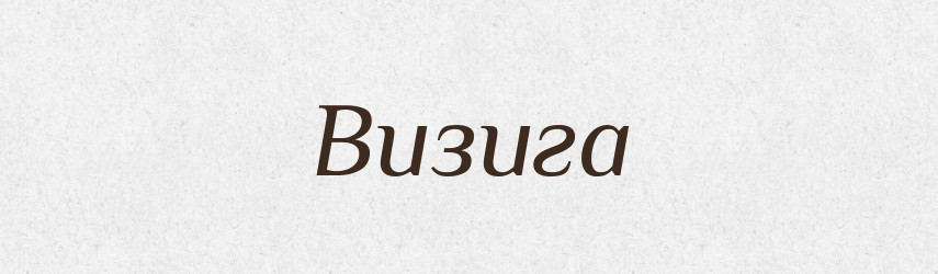 Визига — Російсько-український академічний словник (А–П)