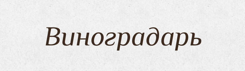 Виноградарь — Російсько-український академічний словник (А–П)