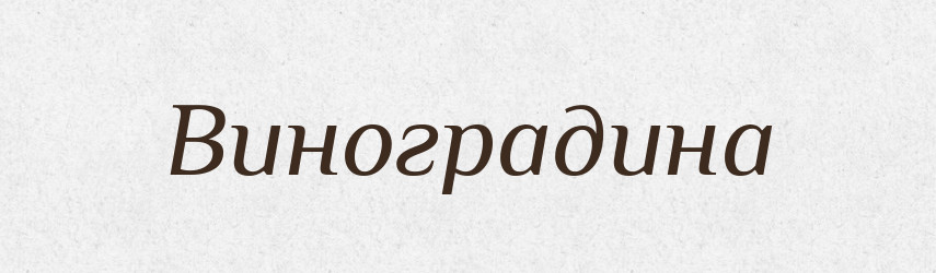 Виноградина — Російсько-український академічний словник (А–П)