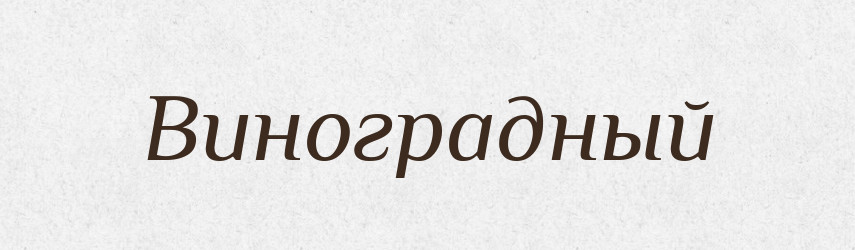 Виноградный — Російсько-український академічний словник (А–П)