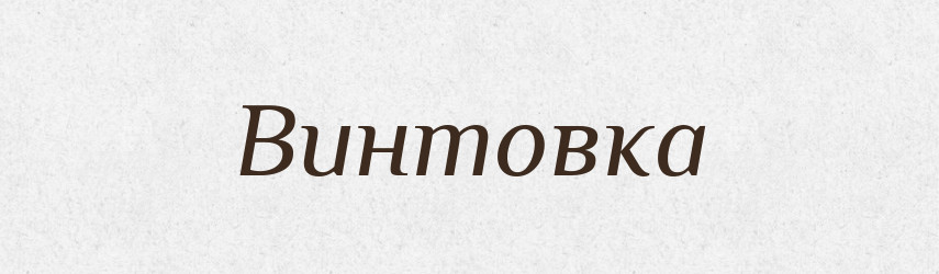 Винтовка — Російсько-український академічний словник (А–П)