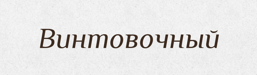 Винтовочный — Російсько-український академічний словник (А–П)