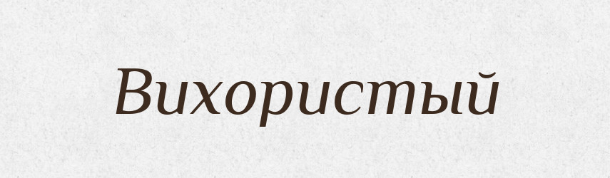 Вихористый — Російсько-український академічний словник (А–П)