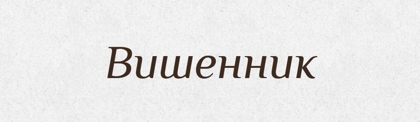 Вишенник — Російсько-український академічний словник (А–П)