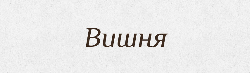 Вишня — Російсько-український академічний словник (А–П)