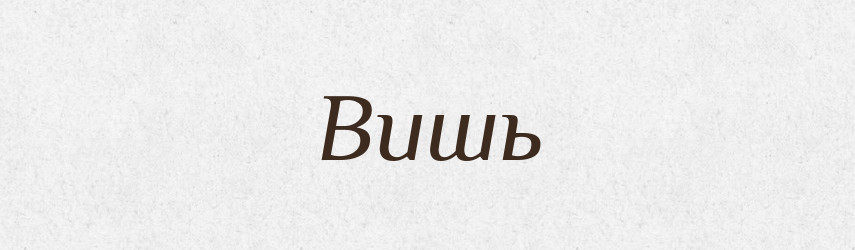 Вишь — Російсько-український академічний словник (А–П)