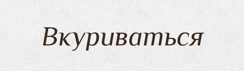 Вкуриваться — Російсько-український академічний словник (А–П)
