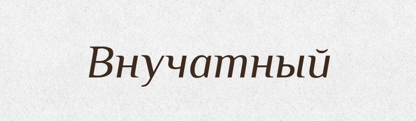 Внучатный — Російсько-український академічний словник (А–П)