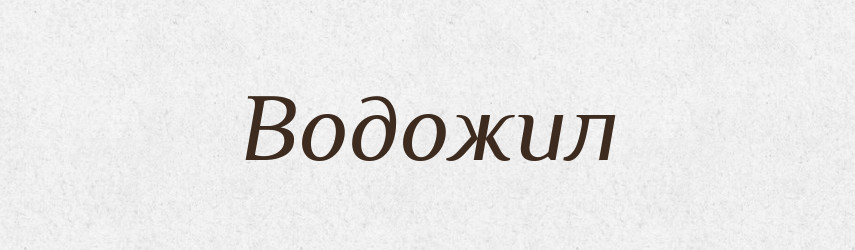 Водожил — Російсько-український академічний словник (А–П)