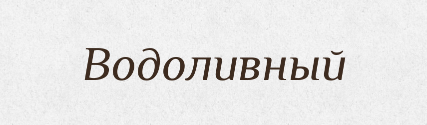 Водоливный — Російсько-український академічний словник (А–П)