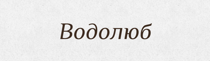 Водолюб — Російсько-український академічний словник (А–П)