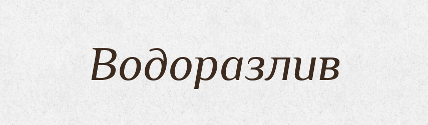 Водоразлив — Російсько-український академічний словник (А–П)