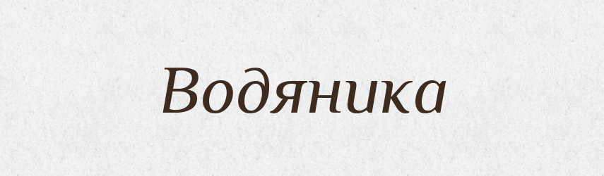 Водяника — Російсько-український академічний словник (А–П)