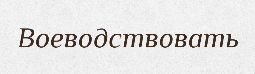Воеводствовать — Російсько-український академічний словник (А–П)