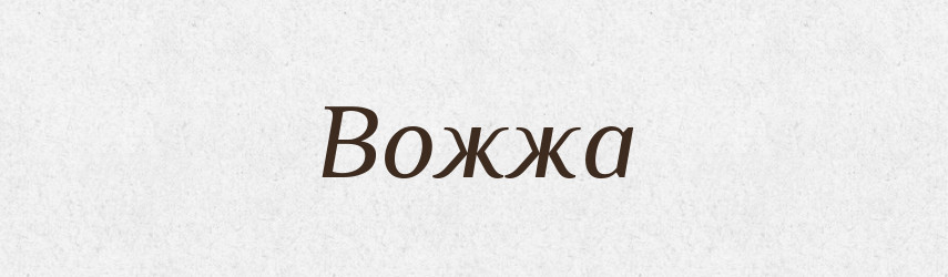 Вожжа — Російсько-український академічний словник (А–П)