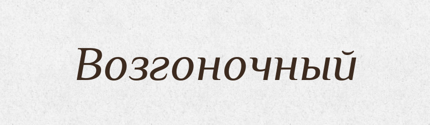 Возгоночный — Російсько-український академічний словник (А–П)