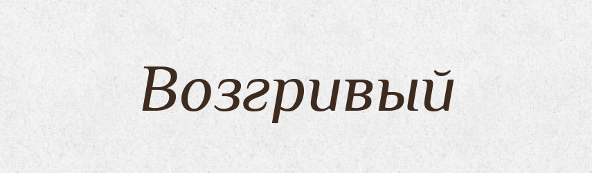 Возгривый — Російсько-український академічний словник (А–П)