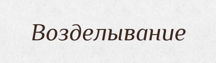 Возделывание — Російсько-український академічний словник (А–П)