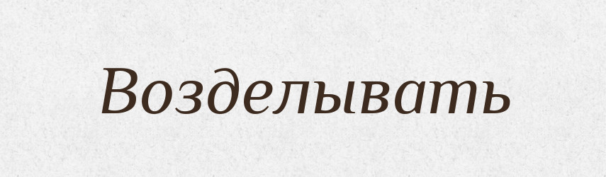 Возделывать — Російсько-український академічний словник (А–П)