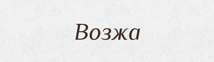 Возжа — Російсько-український академічний словник (А–П)
