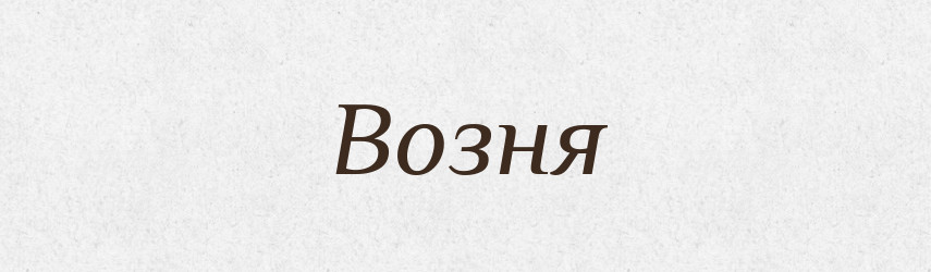 Возня — Російсько-український академічний словник (А–П)
