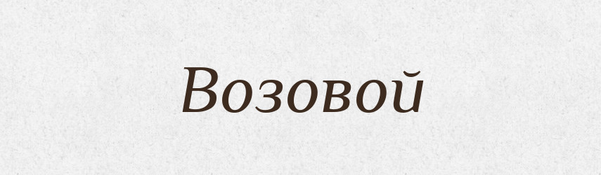 Возовой — Російсько-український академічний словник (А–П)