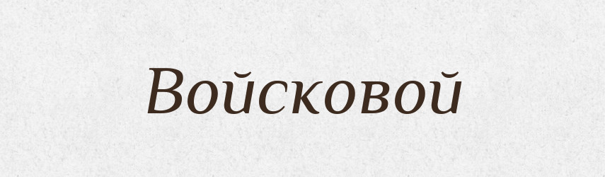 Войсковой — Російсько-український академічний словник (А–П)