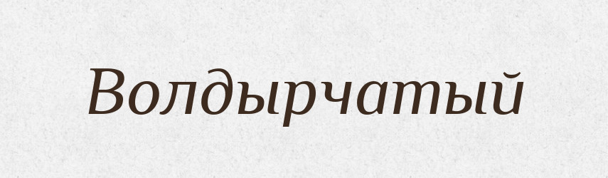Волдырчатый — Російсько-український академічний словник (А–П)