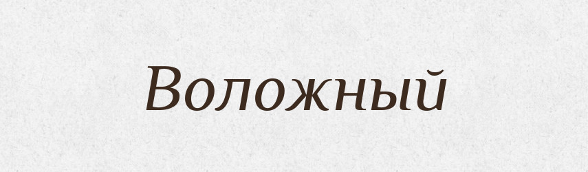 Воложный — Російсько-український академічний словник (А–П)