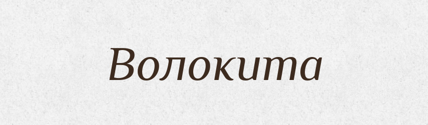 Волокита — Російсько-український академічний словник (А–П)