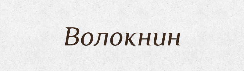 Волокнин — Російсько-український академічний словник (А–П)