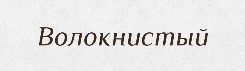 Волокнистый — Російсько-український академічний словник (А–П)