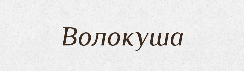 Волокуша — Російсько-український академічний словник (А–П)