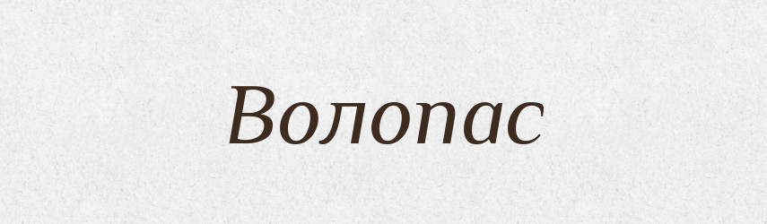 Волопас — Російсько-український академічний словник (А–П)