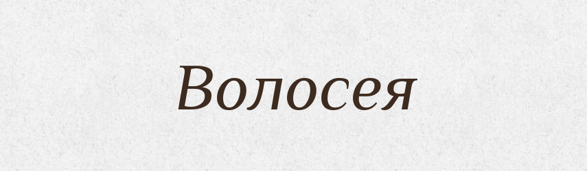 Волосея — Російсько-український академічний словник (А–П)