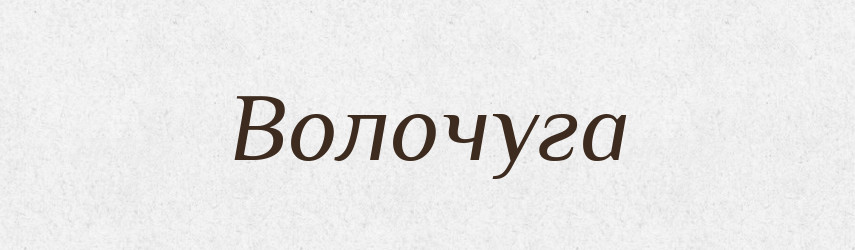Волочуга — Російсько-український академічний словник (А–П)