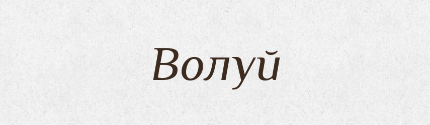 Волуй — Російсько-український академічний словник (А–П)