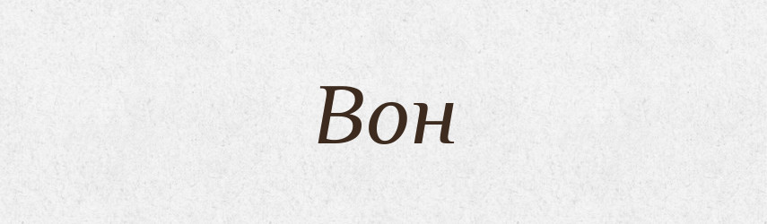 Вон — Російсько-український академічний словник (А–П)