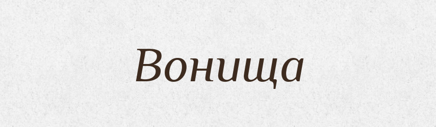 Вонища — Російсько-український академічний словник (А–П)