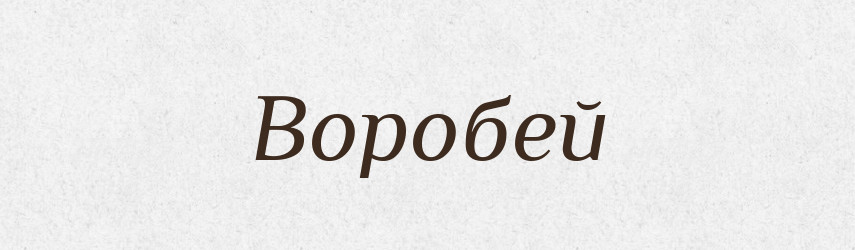 Воробей — Російсько-український академічний словник (А–П)