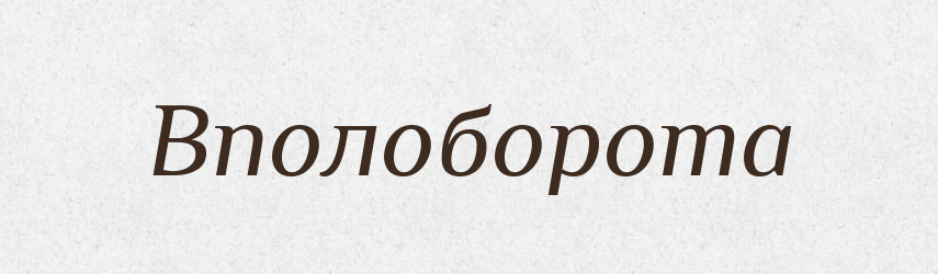 Вполоборота — Російсько-український академічний словник (А–П)
