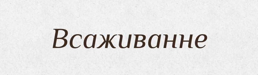 Всаживанне — Російсько-український академічний словник (А–П)