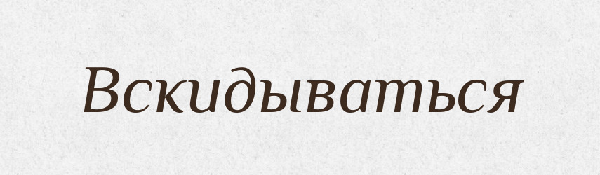 Вскидываться — Російсько-український академічний словник (А–П)