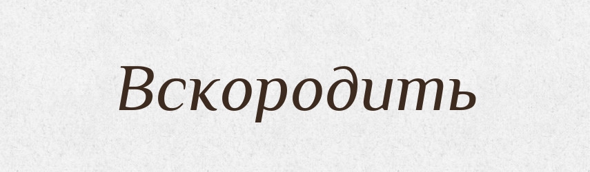 Вскородить — Російсько-український академічний словник (А–П)