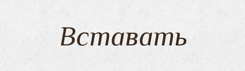 Вставать — Російсько-український академічний словник (А–П)