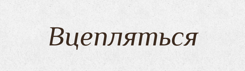 Вцепляться — Російсько-український академічний словник (А–П)