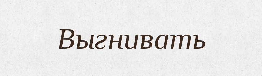 Выгнивать — Російсько-український академічний словник (А–П)