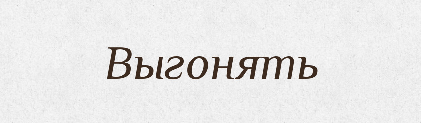 Выгонять — Російсько-український академічний словник (А–П)