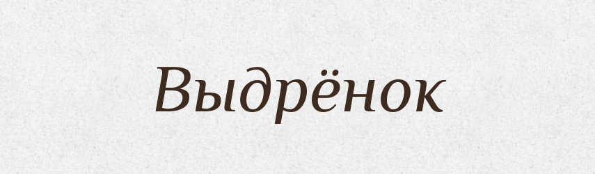 Выдрёнок — Російсько-український академічний словник (А–П)