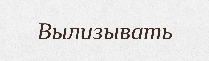 Вылизывать — Російсько-український академічний словник (А–П)